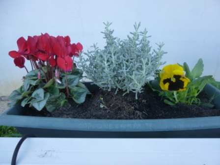 Une des jardinières mises en place en un temps record !
