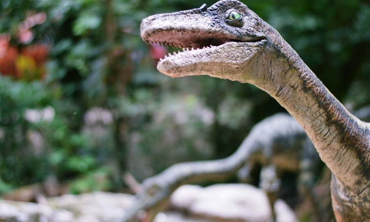 dinosaur-763826_1280