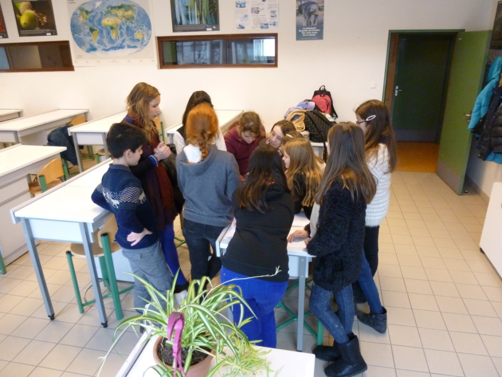 groupe