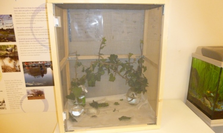 vivarium installé
