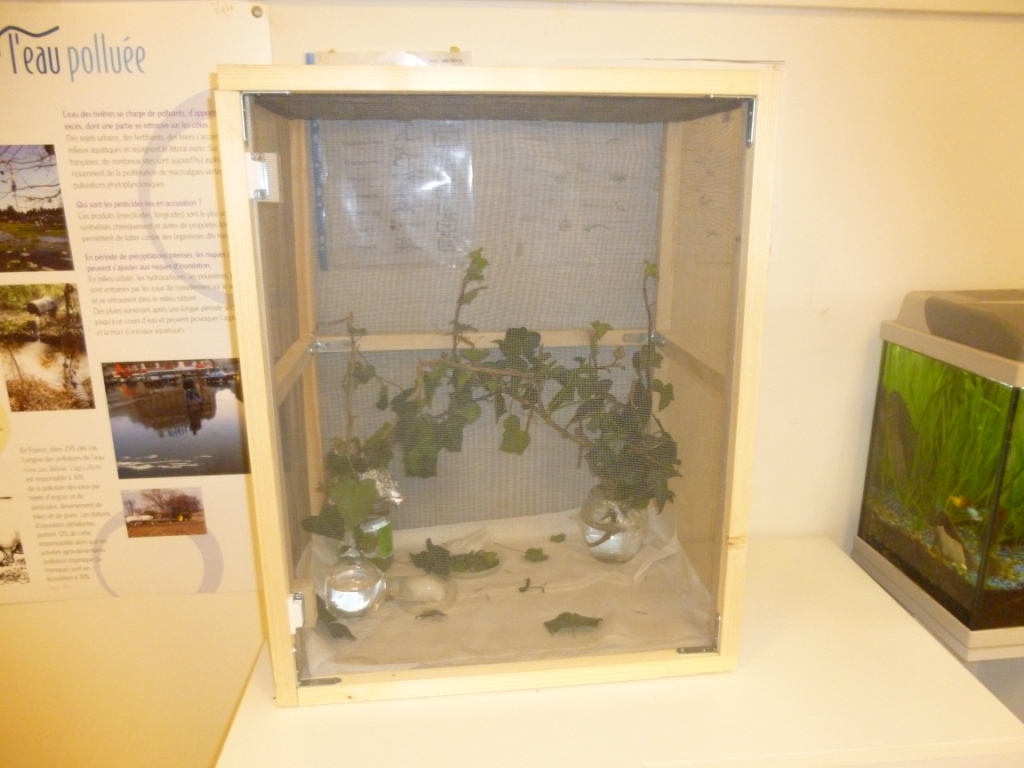 vivarium installé